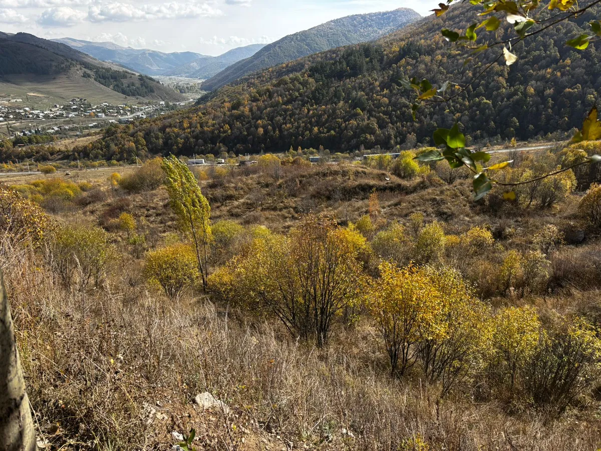 Հողատարածք բնակելի շինությունների համար Արտավազում, 20,000 քմ 4